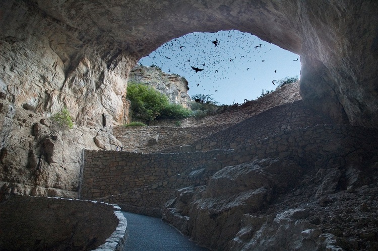 Photo NPS, Carlsbad Caverns National Park, New Mexico